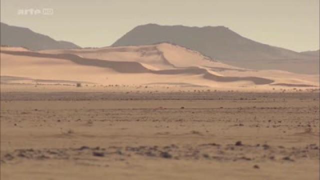 Die letzten Kamelkarawanen der Sahara