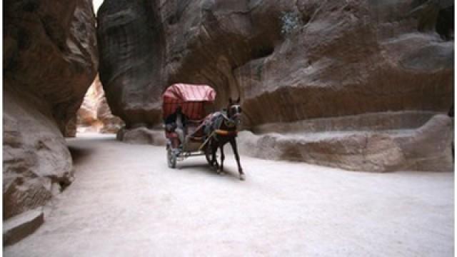 Jordanien, Dynastie der Pferde