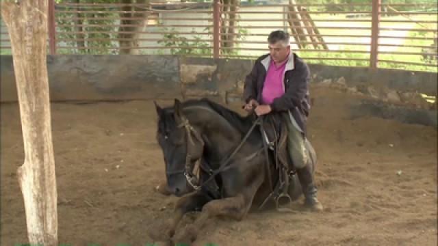 Die letzten Cowboys der Toskana
