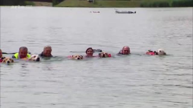 Die Rettungshunde vom Gardasee