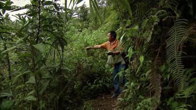 Sikkim: Das alte Wissen der Schamanen