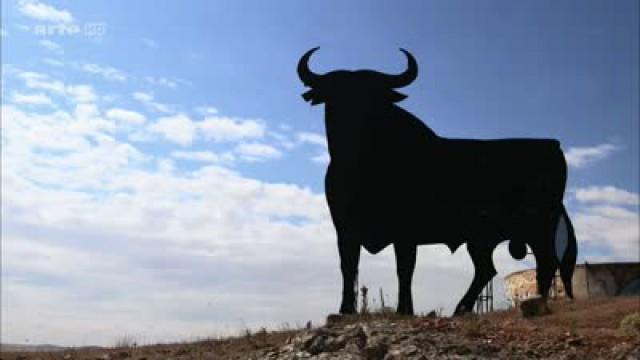 Andalusien – Edle Pferde, wilde Stiere