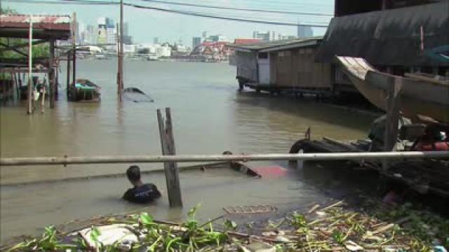 Bangkoks Schatztaucher