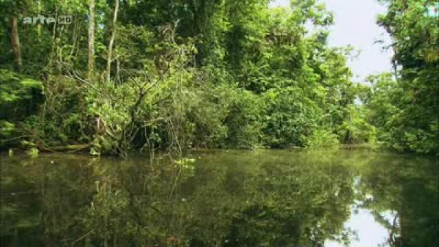 Venezuela, die Blitze von Catatumbo