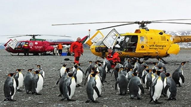 Bird Island – Allein unter Pinguinen