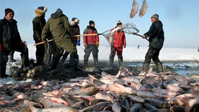 Die Eisfischer vom Chagan-See