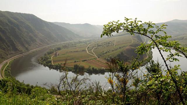 Zauberhafte Mosel