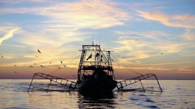 Louisiana – Land unter bei den Shrimpfischern