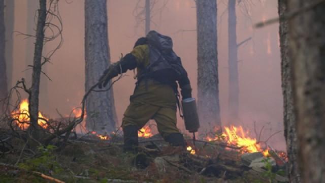 Geliebtes Korsika - Kampf gegen das Feuer