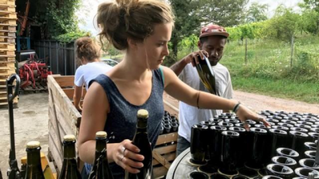 Crémant, der feine Elsässer zum Fest