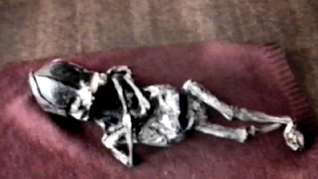 Curse of Flannan Lighthouse and Aleshenka: Russian Mummy
