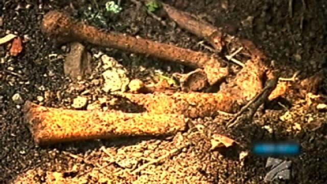 Lost Giants of Georgia and Bridge of Death