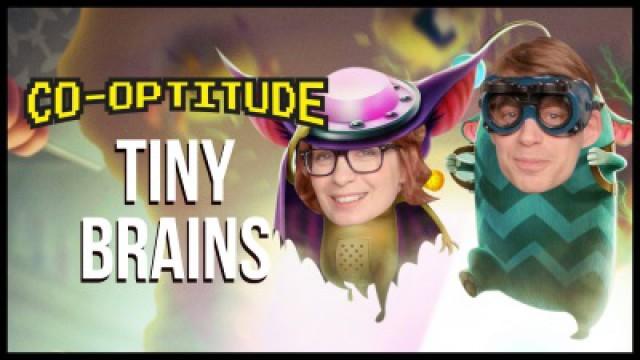 Tiny Brains