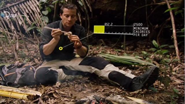 Jungle Survival Stories