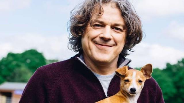 Christmas with the Dog Rescuers