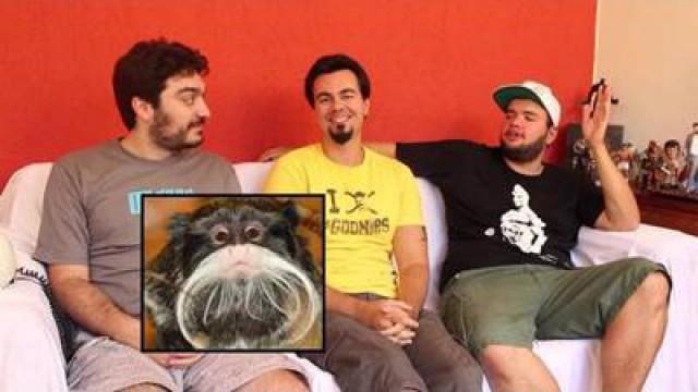 Macacos de Bigodes