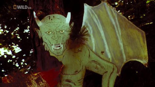 Jersey Devil Hunters