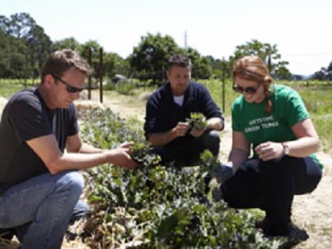Culinary Institute of America, St. Helena, CA