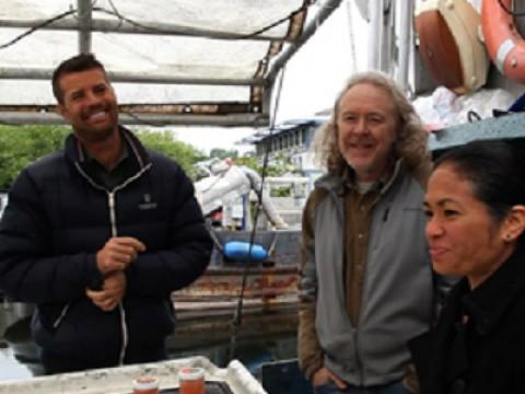 Mallet Kitchen, Seattle, WA