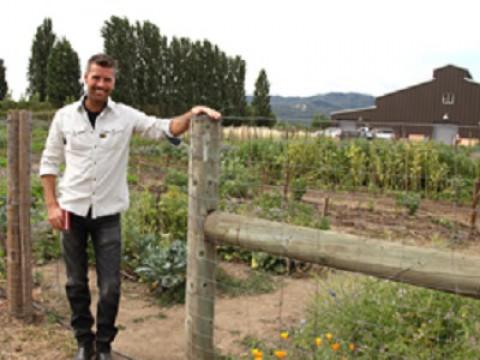 Scribe Winery, Sonoma, CA