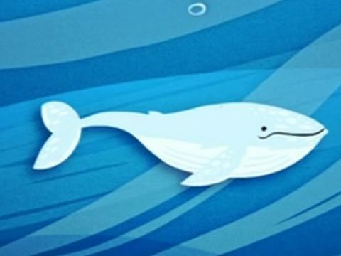 The White Whale