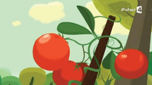 Drôles de tomates