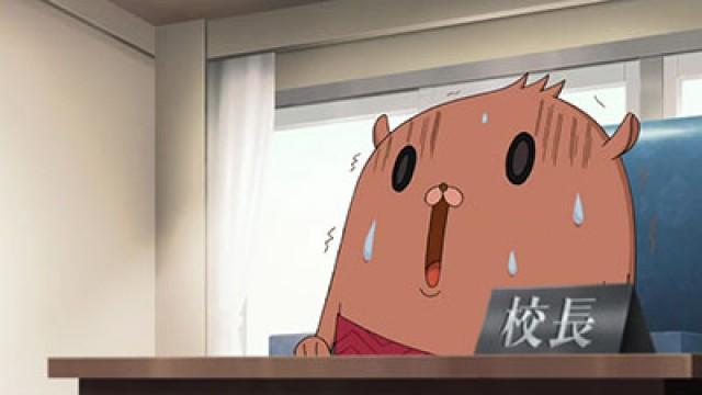 The Origin of Dark-Sensei