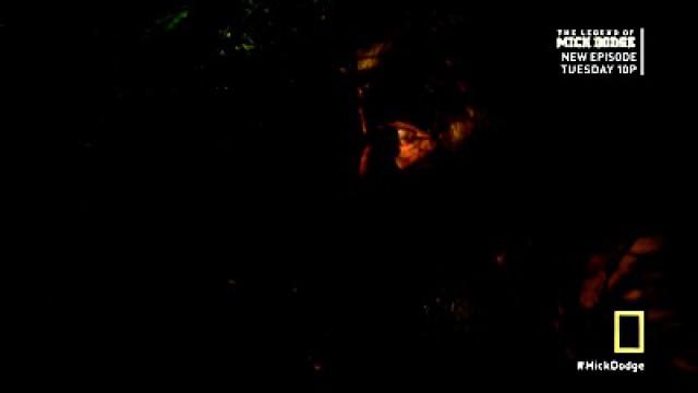 Midnight Ambush