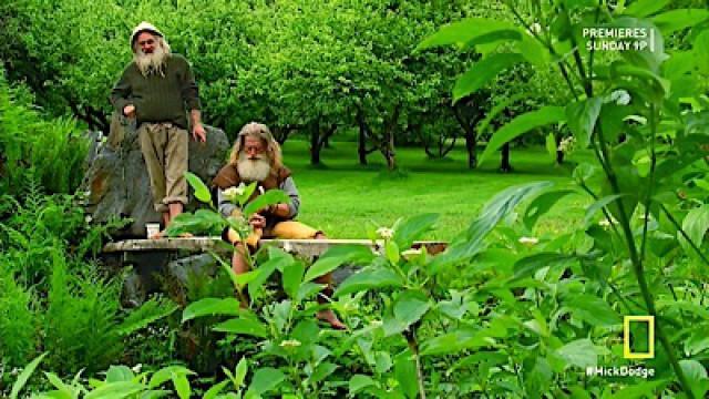 The Harvest