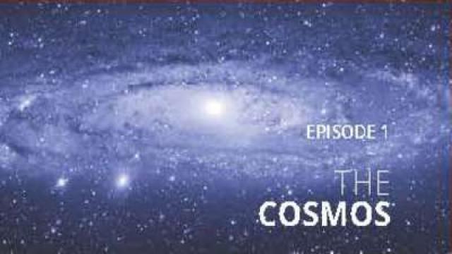 The Cosmos