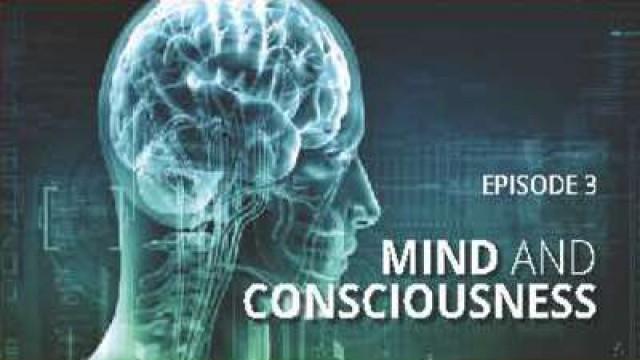 Mind And Consciousness