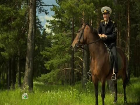 19 серия