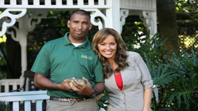 The Primate and the Frog