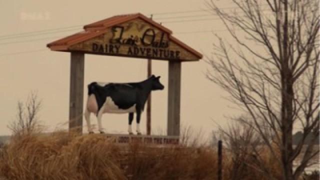 Hog Wild in the Heartland