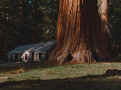 The National Parks: The Scripture of Nature (1851 to 1890)