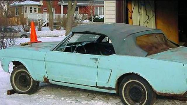 The First Mustang