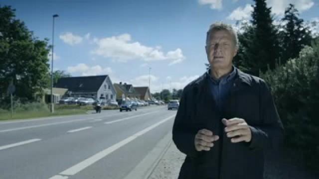 Afsnit 8