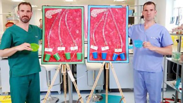 Pancreas Power
