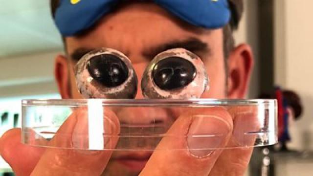 How Your Reflexes Can Save You