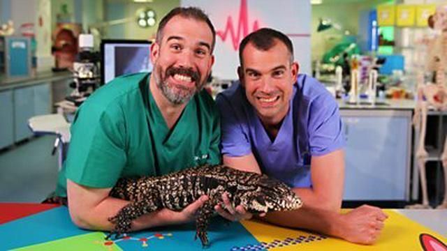 There's a lizard in the lab