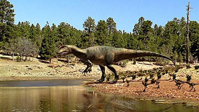 Allozaurus i sól