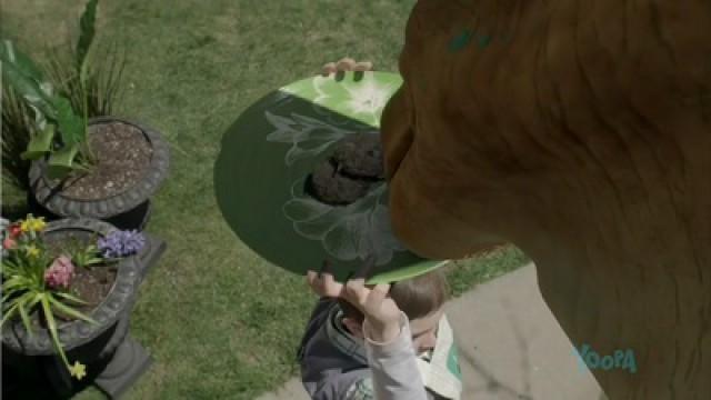 Dino BBQ