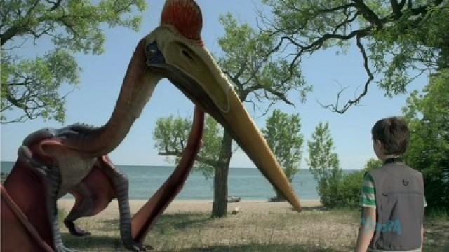 Flight of the Pterodaustro