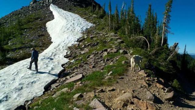 Glacier National Park