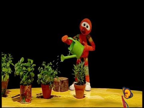 L'hortet d'en Mic