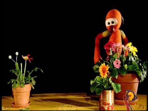 Les flors d'en Mic