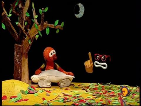 Fem sons d'animals del bosc