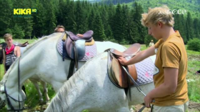 Transsilvanien Folge 9