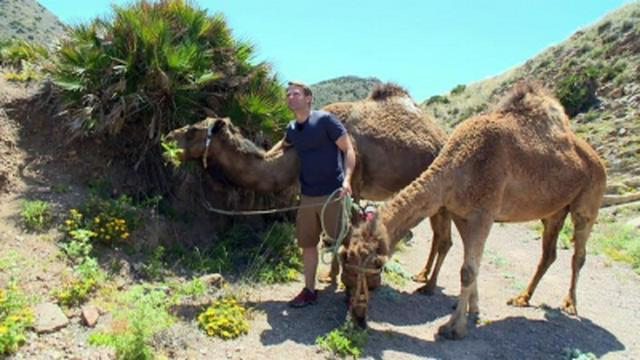 Sierra Nevada - Folge 16