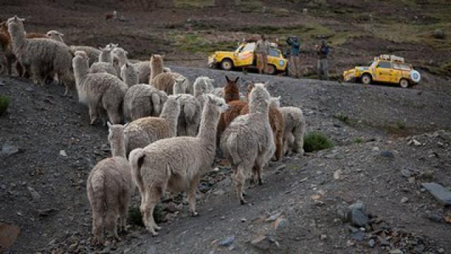 Kam vyjede trabant?